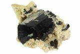 Black Tourmaline (Schorl) & Feldspar Cluster - Namibia #90686-1